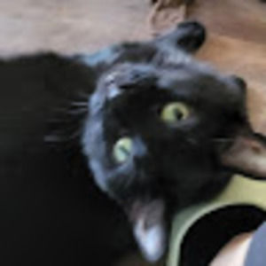 Meet your Posher, Christine